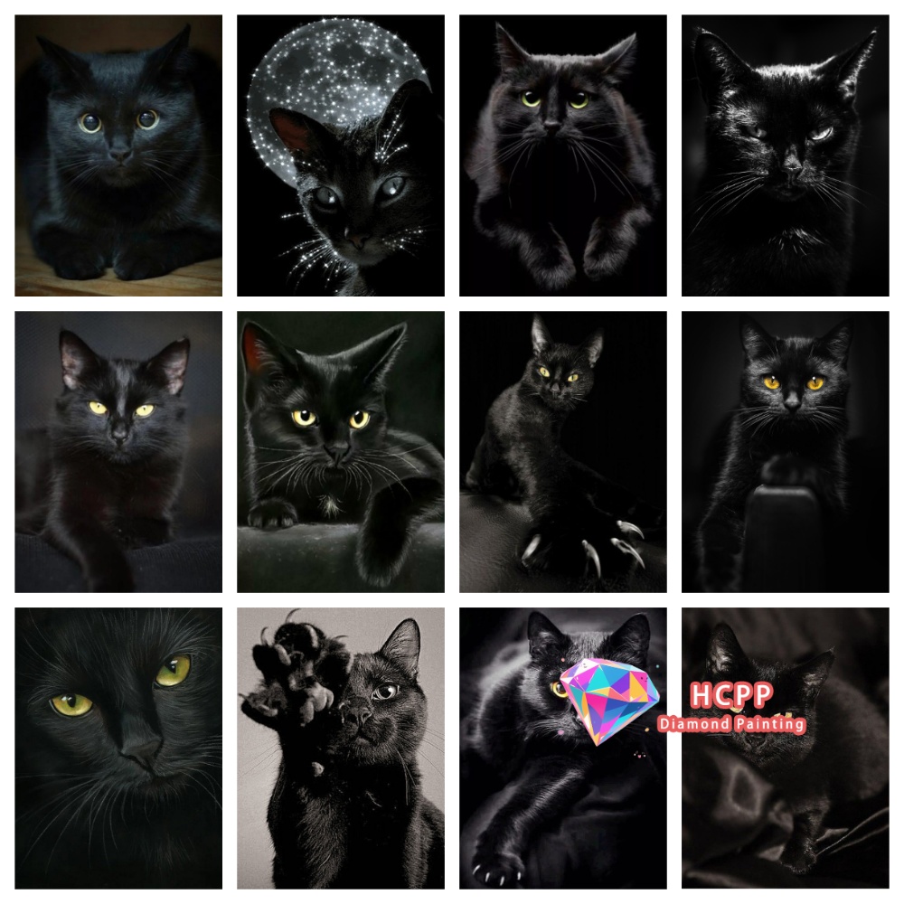 Resin Craft Kit - Kit Pittura Diamante Gatto Nero Senza