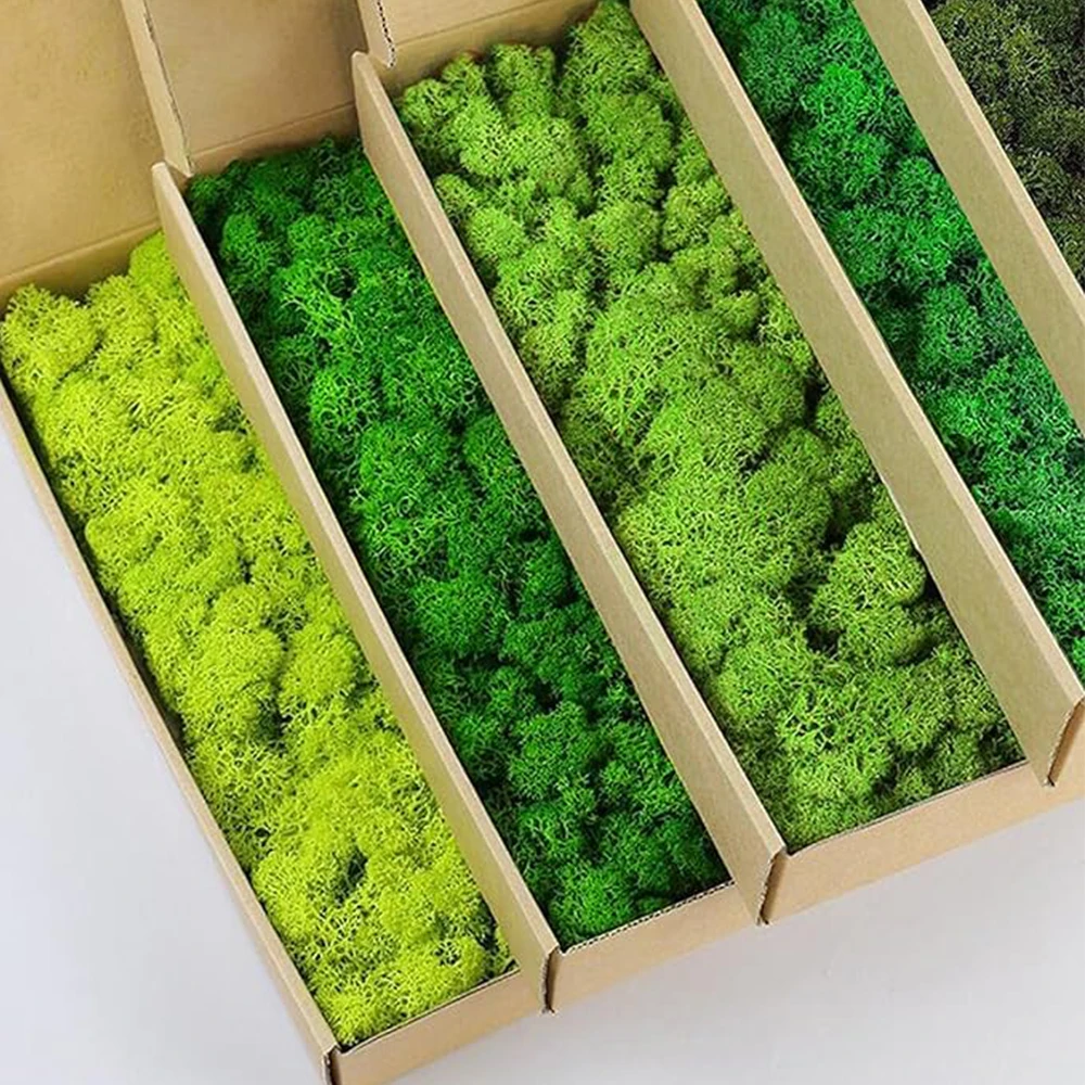 20-200g Piante verdi artificia - Terrarium Moss Art recensione e prezzo
