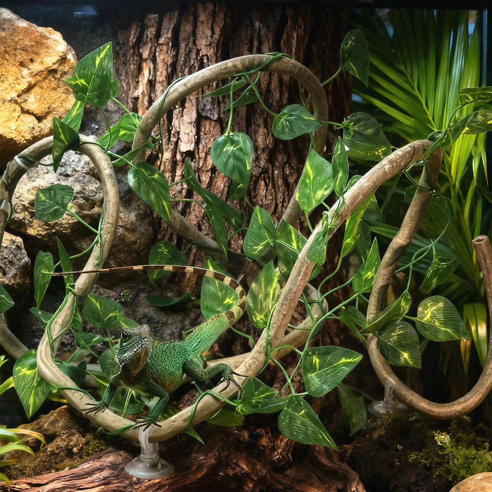 Piante Finte in Rattan da 1M p - Terrarium Moss Art recensione e prezzo