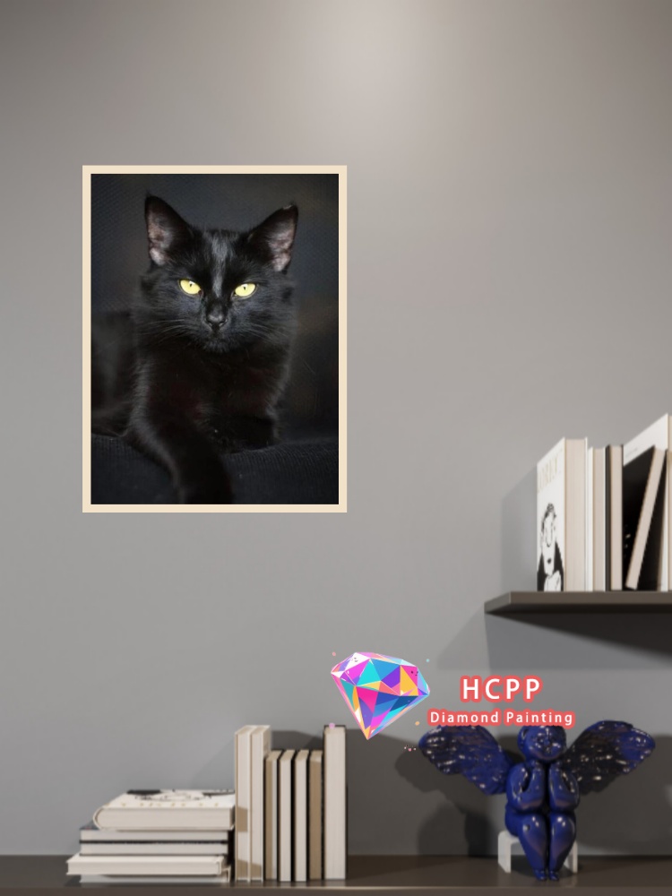 Kit Pittura Diamante Gatto Ner - Resin Craft Kit recensione e prezzo